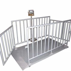 باسکول دام کشی دیجیتال